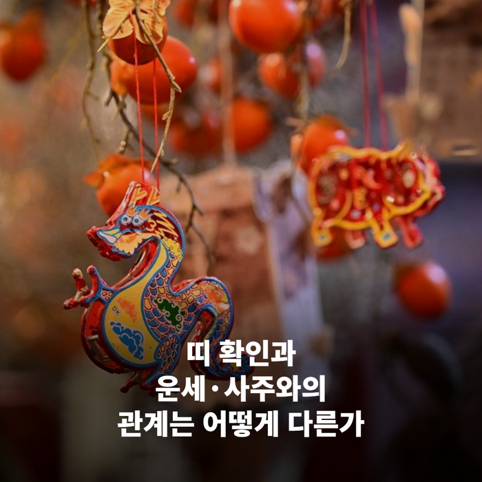 간단한 띠 표와 복잡한 사주 표를 나란히 비교해 보여주는 이미지, 두 표가 나란히 보이는 장면