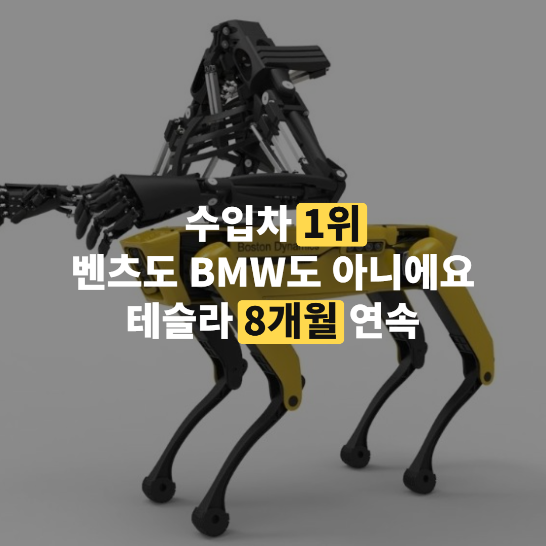 수입차 1위는 테슬라 8개월 연속, BYD 4위…10월 자동차 소식 정리