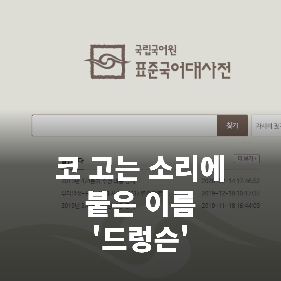 10월 16일 신조어, 코 고는 소리에 붙은 이름 ‘드렁슨’