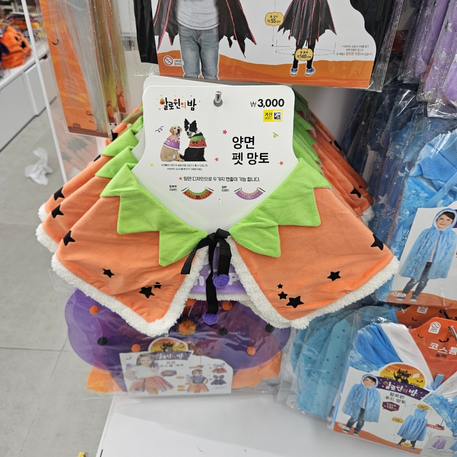 할로윈 망토를 걸친 반려견이 거실에 앉아 있는 모습