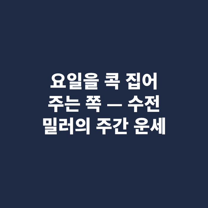 다이어리 주간 속지에 요일별로 일정을 적는 손