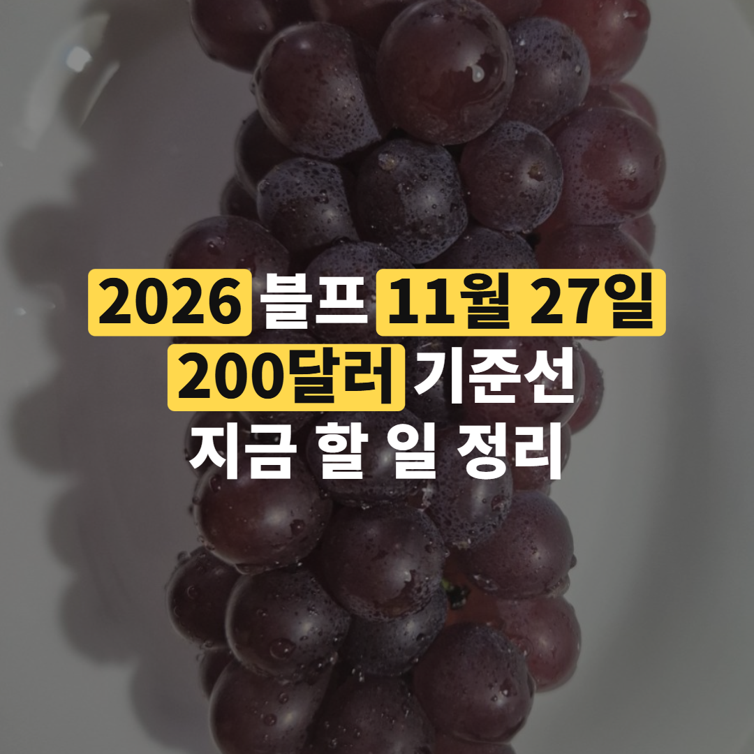 2026 블랙프라이데이 11월 27일, 직구·국내세일 준비 정리