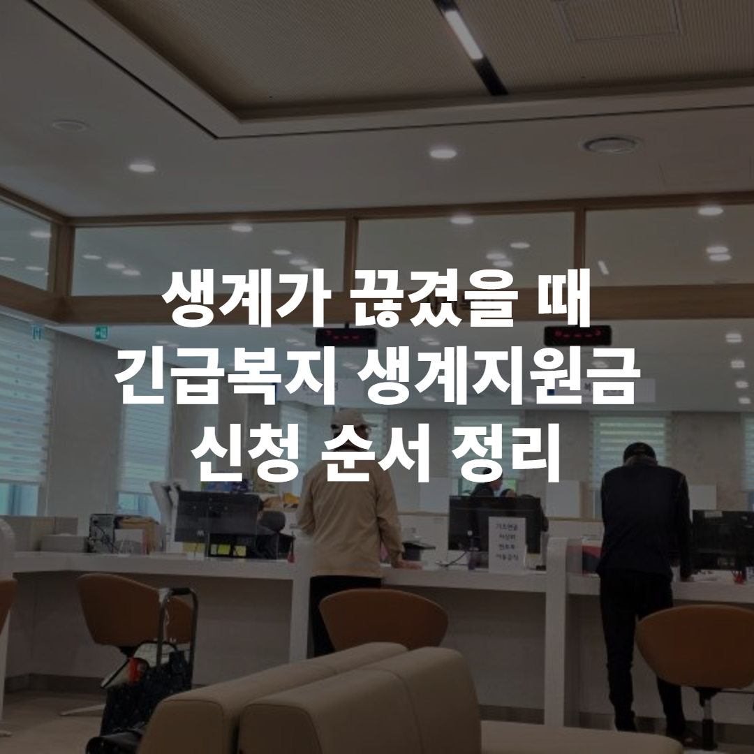 긴급 생계지원금 신청하기, 2026년 달라지는 점과 신청 순서