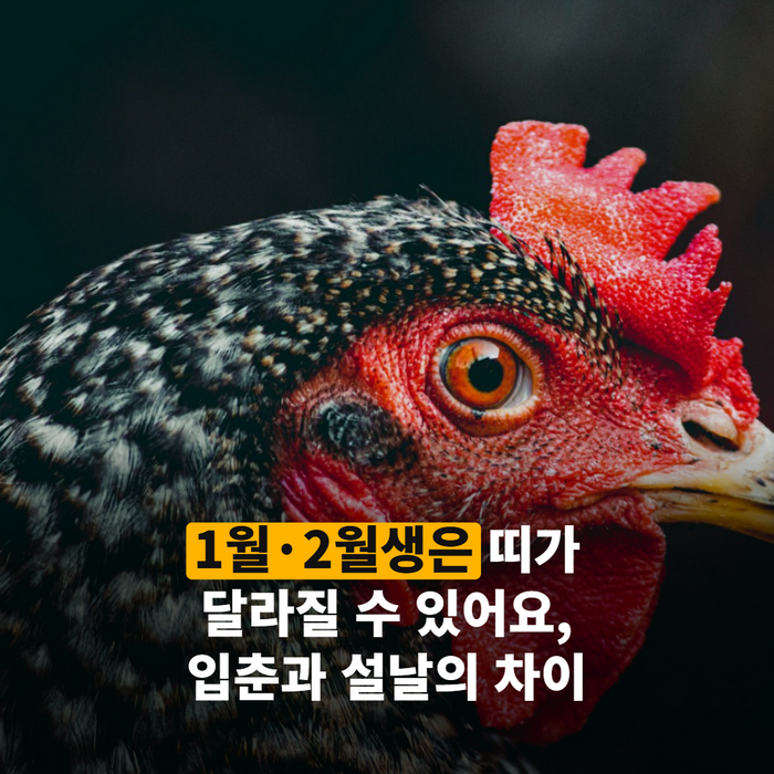 입춘과 설날이 표시된 달력의 2월 페이지를 손가락으로 짚는 클로즈업