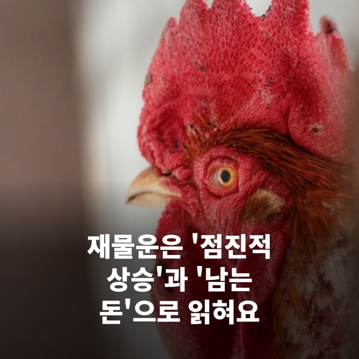 가계부에 지출을 적으며 계산기를 두드리는 손과 영수증 클로즈업