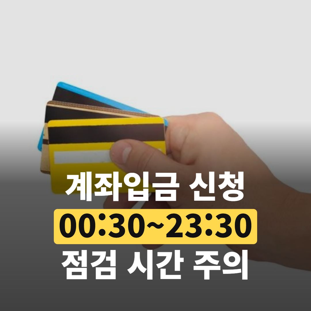 여러 장의 신용카드를 손에 부채처럼 펼쳐 든 모습