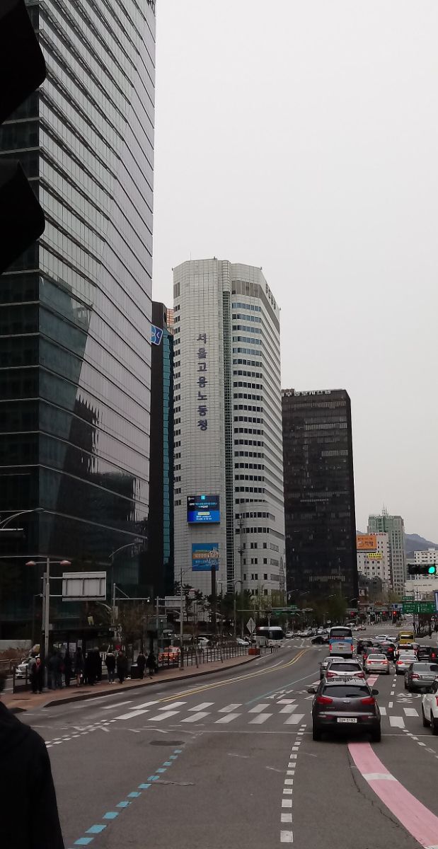 스마트폰으로 고용24 화면을 보며 로그인하는 손 클로즈업