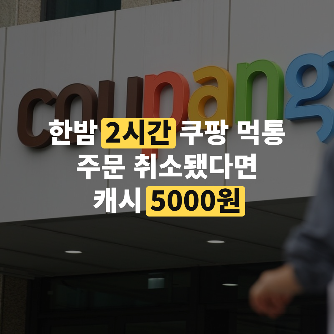 스마트폰 화면에 네트워크 연결 오류 안내가 뜬 모습