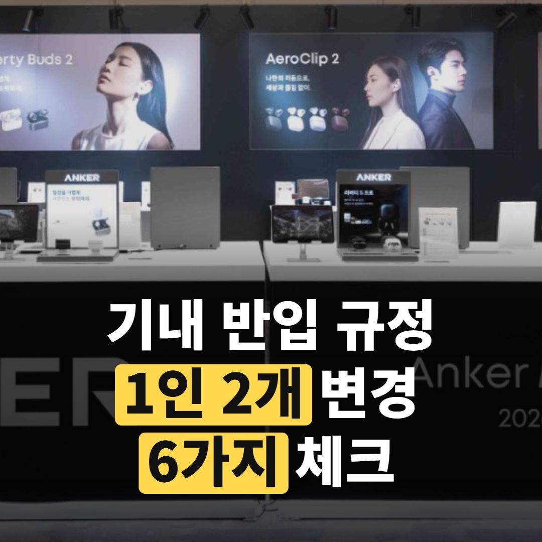 6가지, 보조배터리 '1인 2개' 규정 바뀐 이유