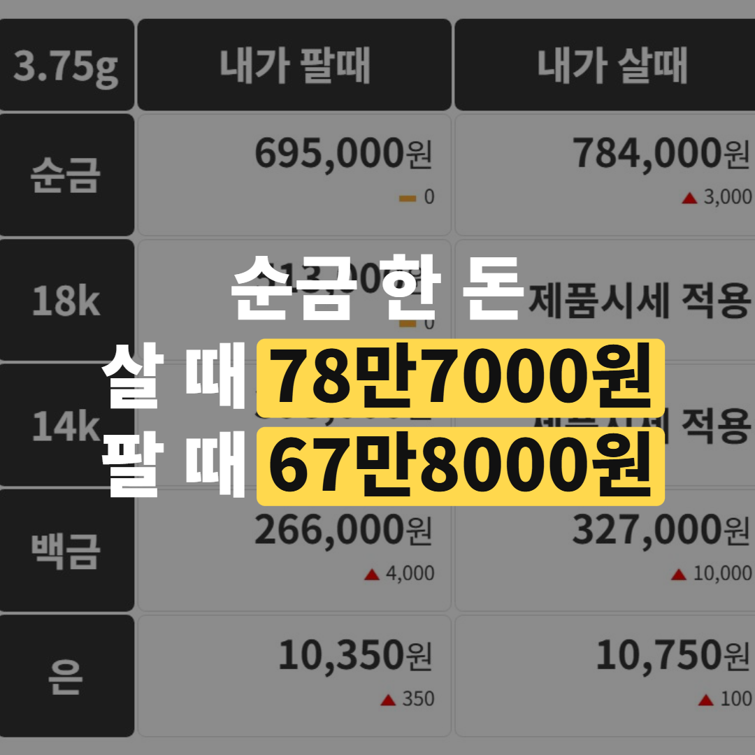 금은방 진열대에 놓인 순금 돌반지와 목걸이