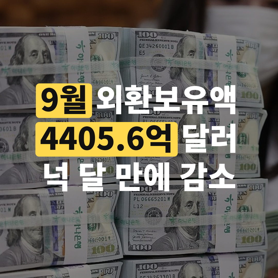 9월 외환보유액 4405.6억 달러, 넉 달 만에 감소