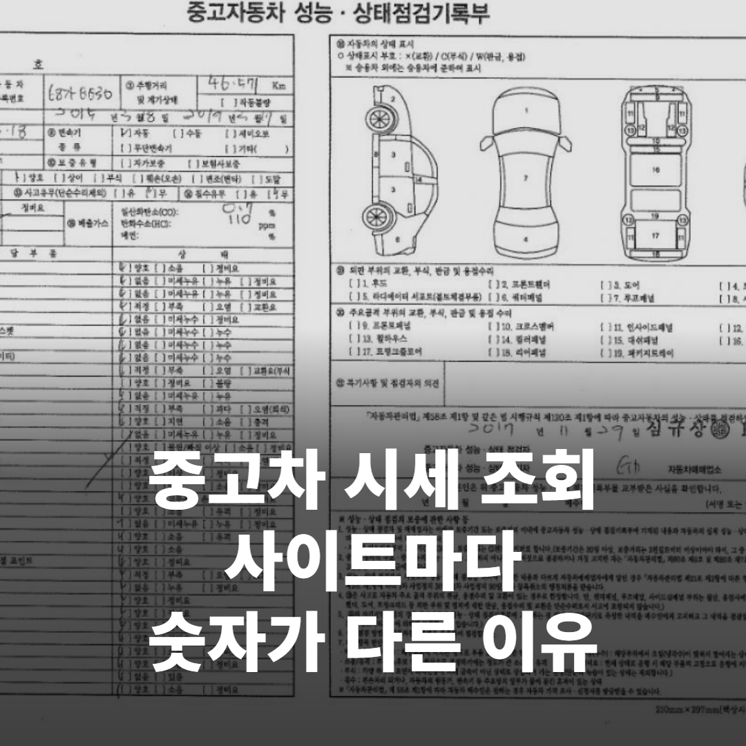 스마트폰 화면에 중고차 시세 가격이 표시된 것을 들여다보는 사람의 손과 화면 클로즈업
