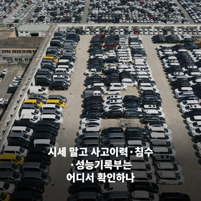 중고차 성능·상태점검기록부 서류를 손에 들고 확인하는 모습