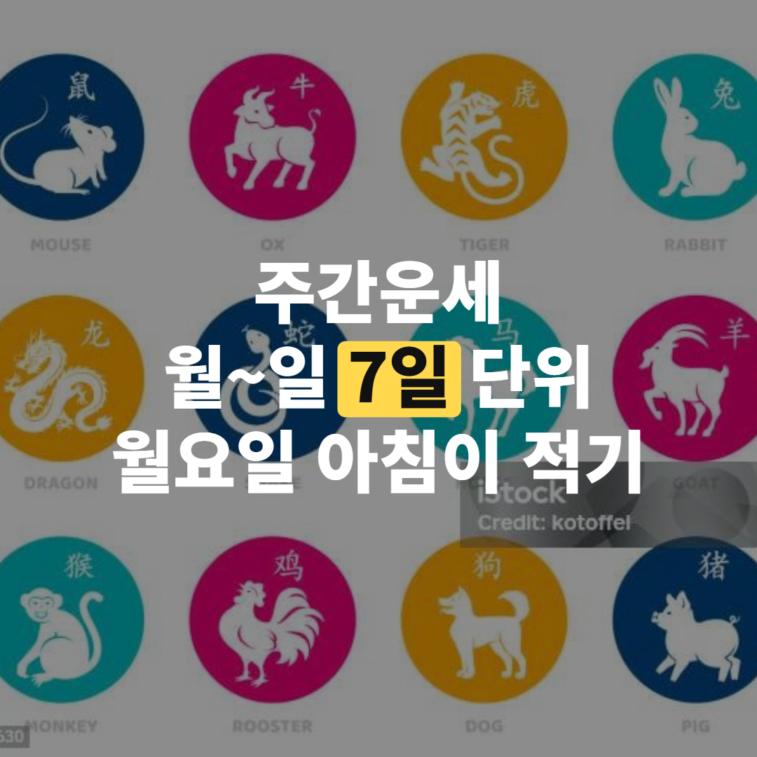 띠는 태어난 해, 별자리는 생일… 주간운세 기준 차이