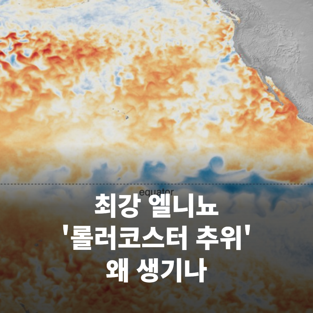 엘니뇨 오면 왜 겨울이 널뛸까, 무역풍이 약해지면 생기는 일