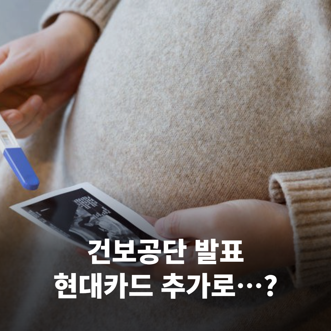 임신·출산 지원금, 정말 ‘모든 카드사’에서 쓸 수 있나요?